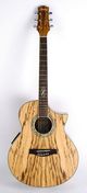Ibanez EW20ZWE